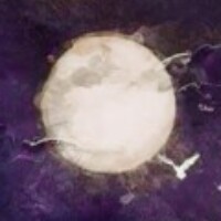 Profile picture of NocturnalS