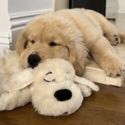 aa54e8a14dbb8a0df88267a09b66c5f2