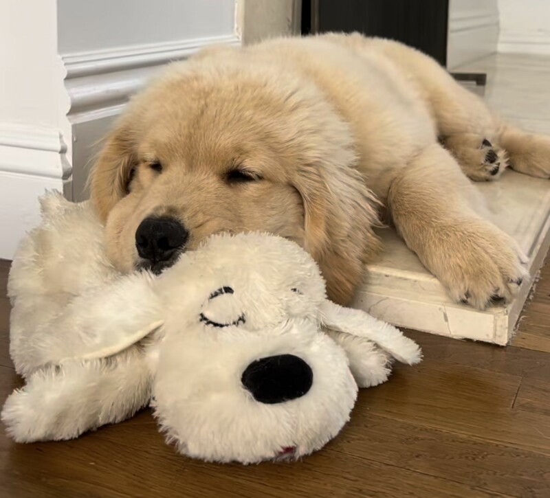 aa54e8a14dbb8a0df88267a09b66c5f2